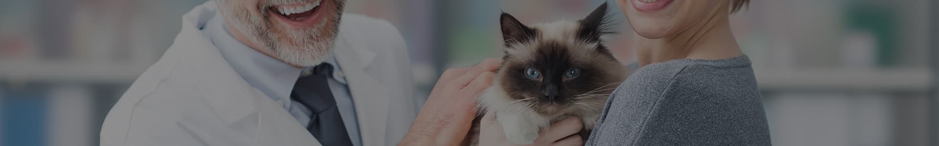 about background photo